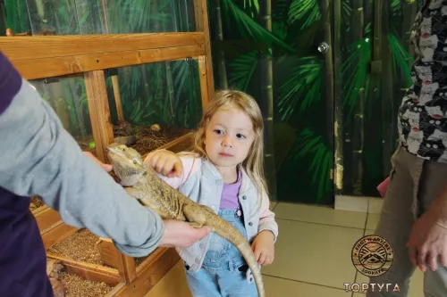 Зооклуб Тортуга  в  Перми
