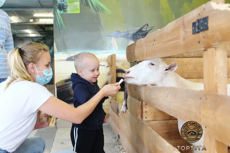 Зооклуб Тортуга в Перми: Зоопарк, Животные,