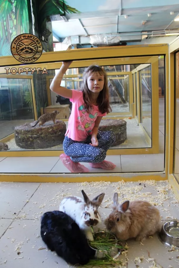 Зооклуб Тортуга в Перми: Зоопарк, Животные,