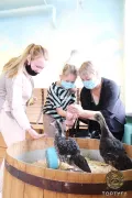 Миниатюра 4