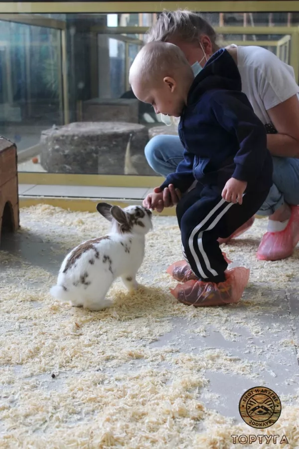 Зооклуб Тортуга в Перми: Зоопарк, Животные,