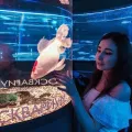 Миниатюра 5