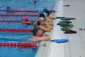 Миниатюра 8