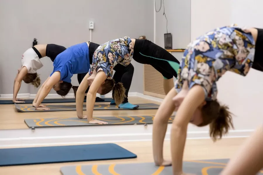 Студия растяжки и фитнеса FlexDoma в Новосибирске: Фитнес, Зал, Тренировка,