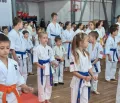 Миниатюра 12