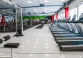 Миниатюра 8