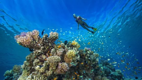 Дайвинг Центр ADRENALINE  в  Нижнем Новгороде
