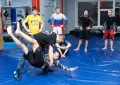Миниатюра 2