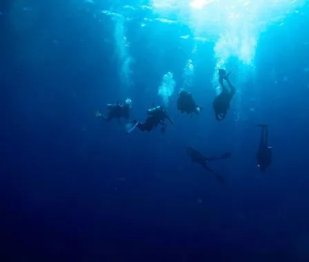 Дайвинг-центр «DiveGurus»