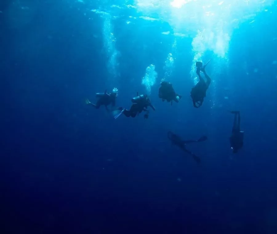 Дайвинг-центр DiveGurus в Боракай: Вода, Дайвинг,