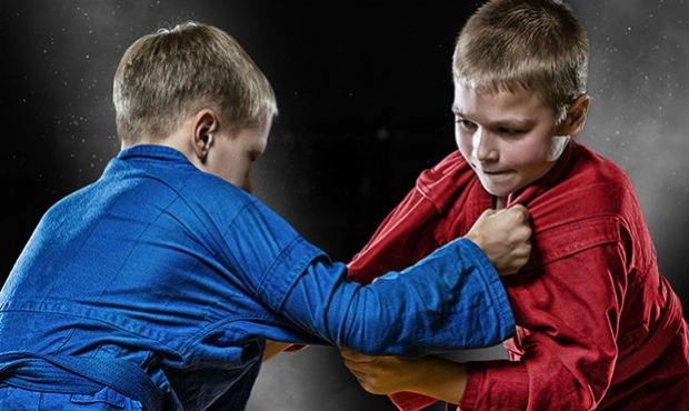 Всероссийская Федерация Самбо в Ульяновске в Ульяновске: Самбо, Спортивные Соревнование, Турниры, Развитие Спорта, Общественная Организация, Самооборона,