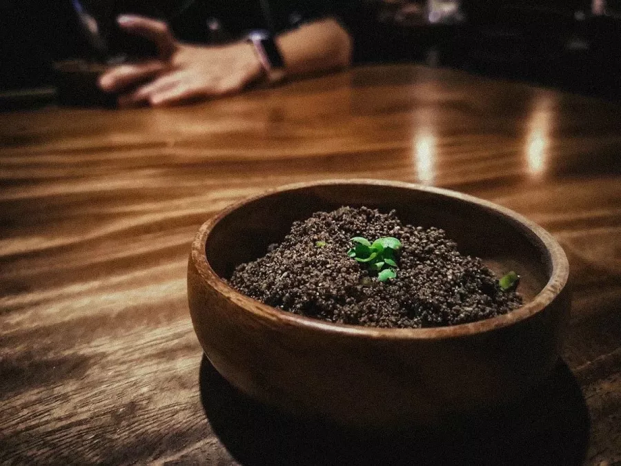 Ресторан Toyo Eatery в Манила: Restaurant , Филиппинская кухня, Filipino food, Ресторан,