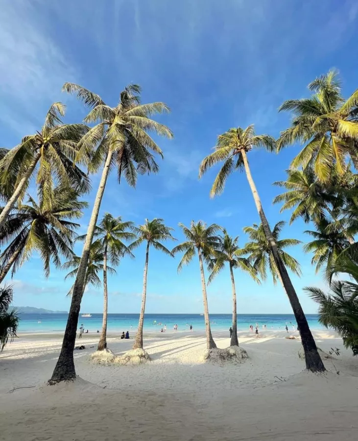 Отель The District Boracay в Боракай: Hotel, Swimming pool , Бассейн, Отель,