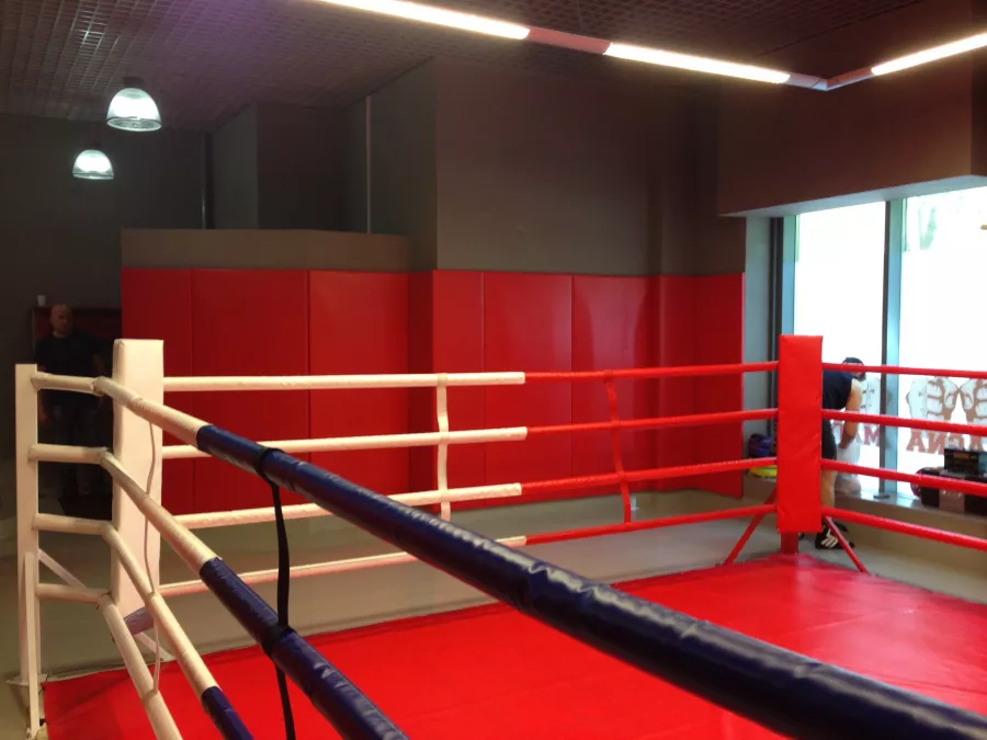 Бойцовский Клуб Спартанец в Ульяновске: Единоборства, Самооборона, Рукопашный бой,