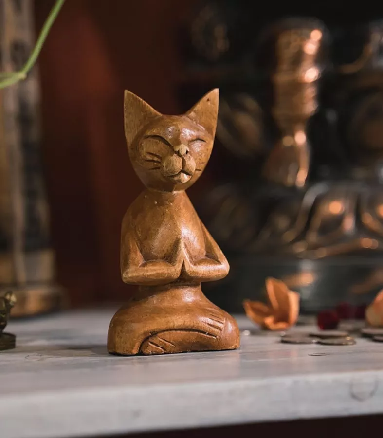 Студия Йоги I-YOGA в Санкт-Петербурге: Растяжка, Студия, Медицина,