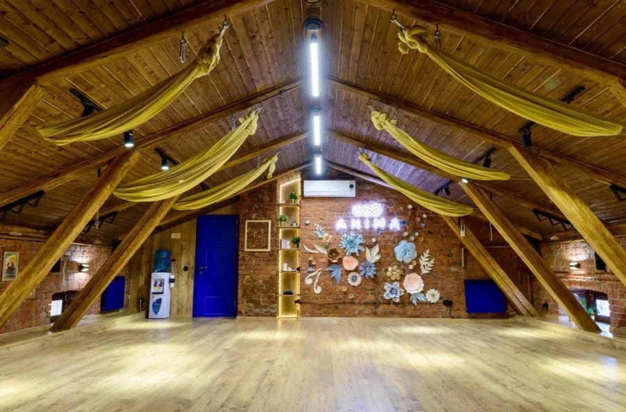 Пространство ANIMA в Санкт-Петербурге: Растяжка, Йога, Студия, Медицина,