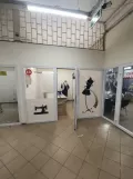 Миниатюра 1