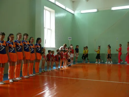 Федерация Чирлидинга и Чир Спорта 