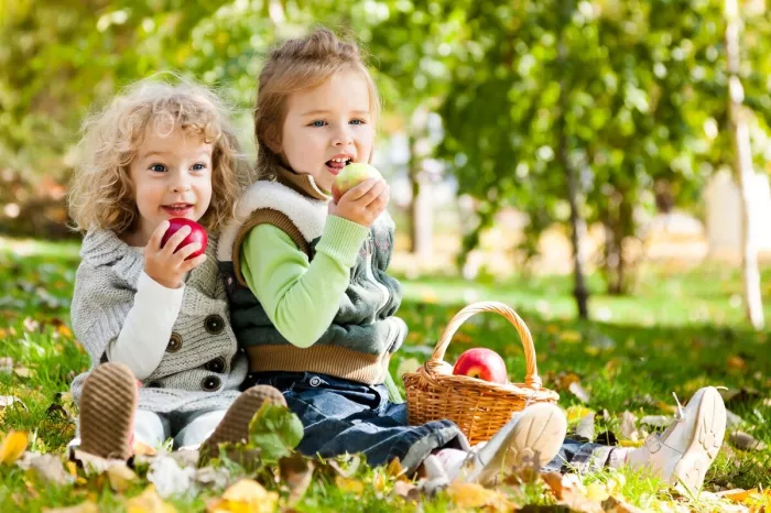 Частный детский сад "Умка"