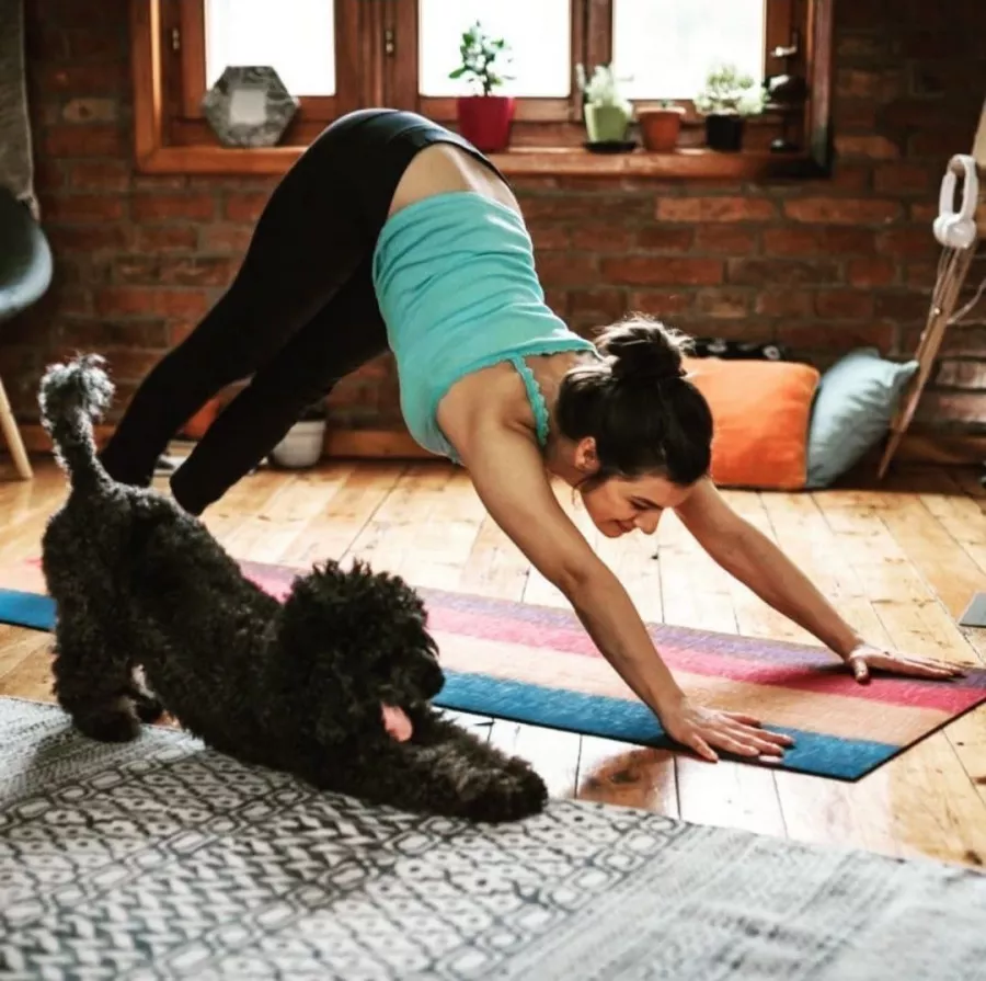 Студия Йоги Радуга в Нижнем Новгороде: Йога , Студия, Yoga, Studio, Stretching , Meditation , Растяжка , Медитация ,