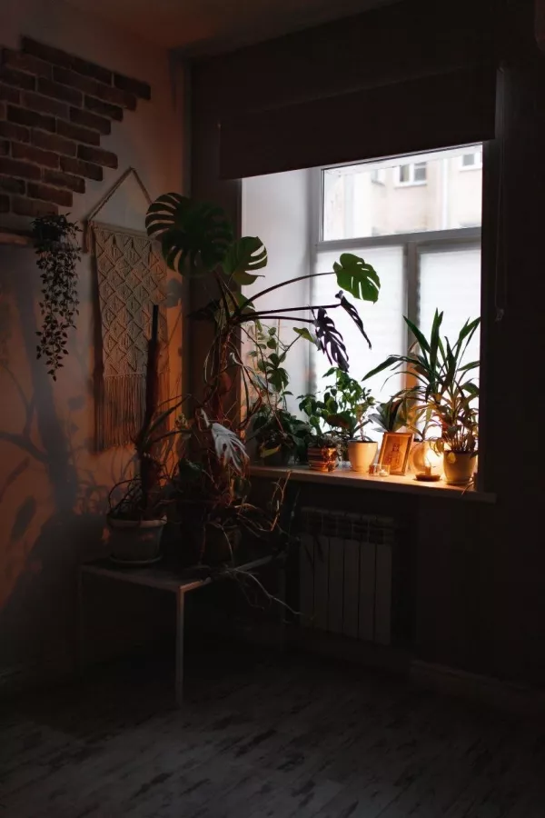 Студия Йоги MysoreClassSpb в Санкт-Петербурге: Спорт, Студия, Медицина,