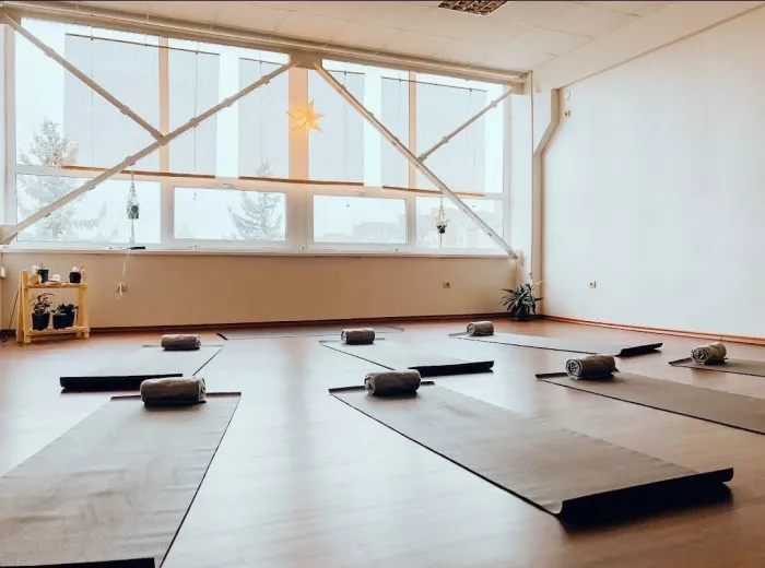 Студия Йоги «Helga»