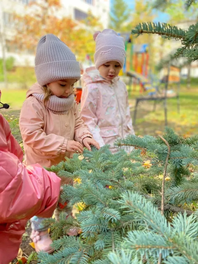 Частный детский сад Ладушки Ладошки на улице Восход в Казани: Детям, Ясли, Садик,