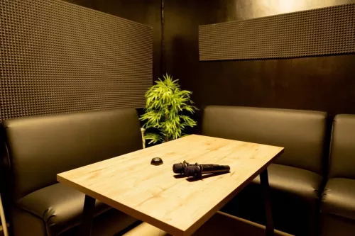 Караоке-кабинка Tanoshi  в  Казани