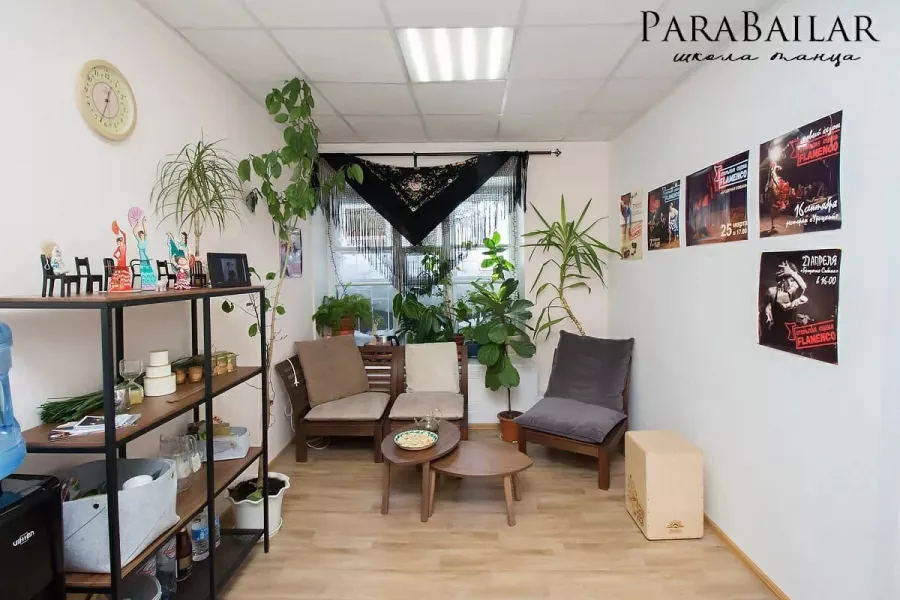 Школа фламенко ParaBailar в Новосибирске: Танцы, Хореография, Школа, Тренировка, Зал, Учимся,
