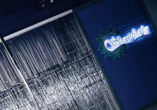 Школа развития женской пластики "Shambala"