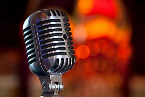 Караоке-кабинка Bellis  в  Екатеринбурге