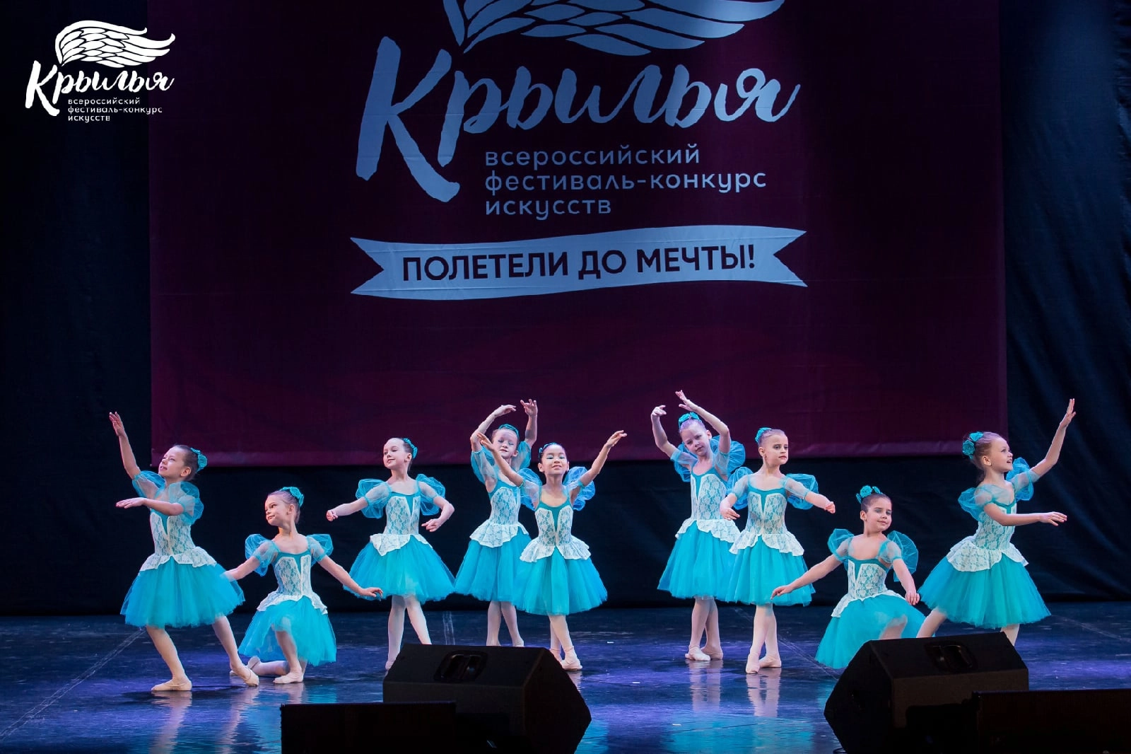 Большое фото 2