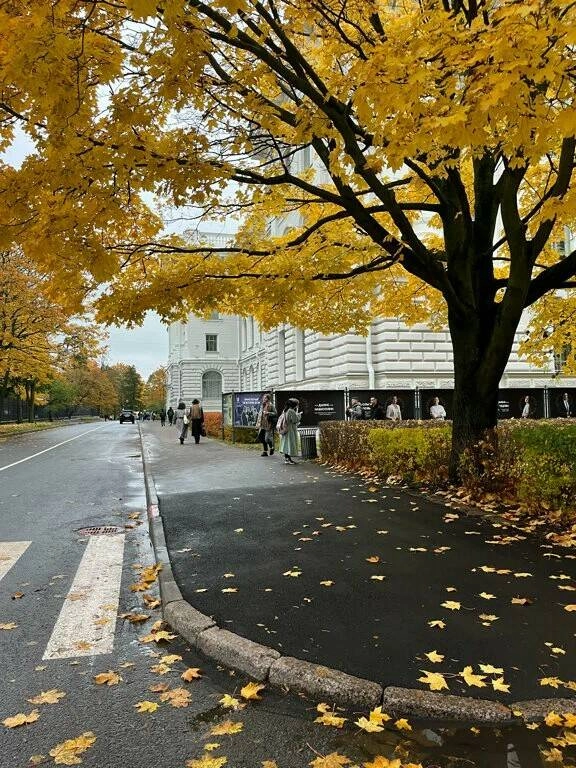 Санкт-Петербургский политехнический университет Петра Великого  в  Санкт-Петербурге