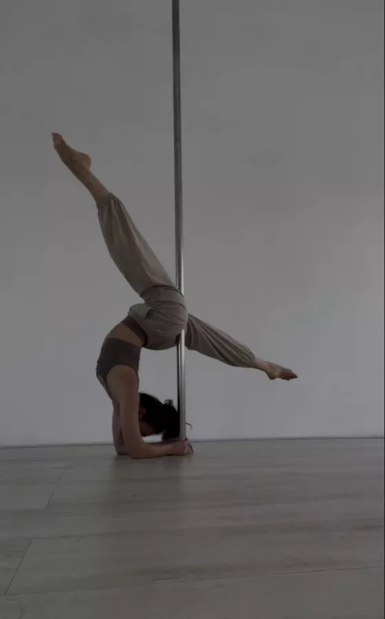 Студия танцев Donna в Новосибирске: Танцы, Хореография, Зал, Pole Dance,