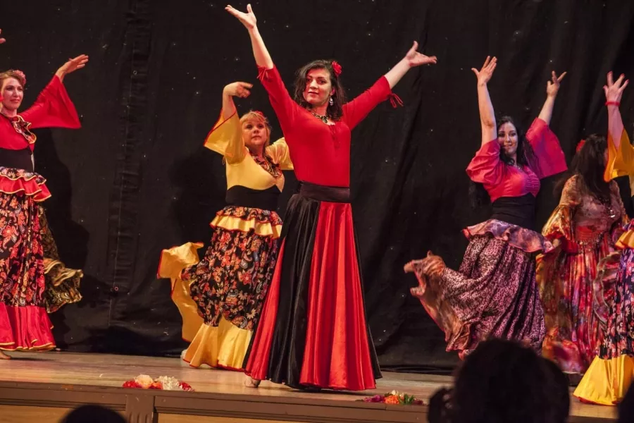 Школа восточного танца ЭльДанс в Новосибирске: Учимся, Танцы, Зал, Хореография, Йога, Школа,