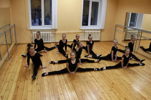 Танцевальная студия Vestris  в  Новосибирске