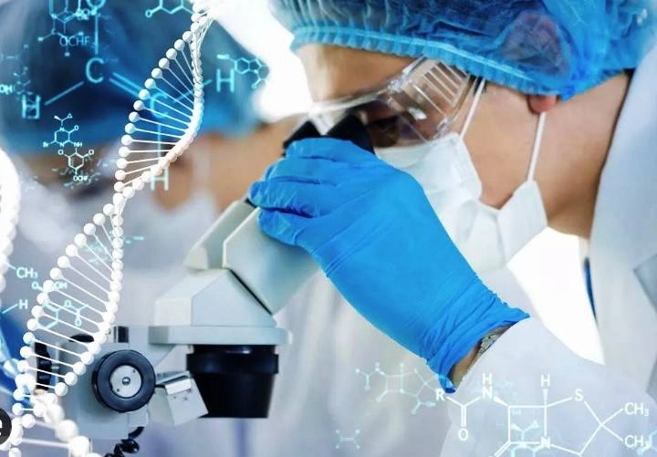 Медицинская Клиника CMD в Санкт-Петербурге: Клиника, Терапевт, Педиатр, Медицинская Диагностика, Анализ крови, Клиническая Лаборатория,