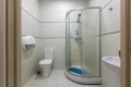 Миниатюра 8