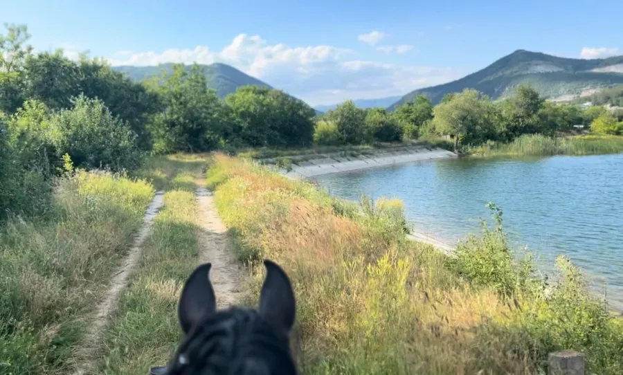 Конный клуб Horse travel123 в Геленджике: Конная езда, Обучение, Красивый вид, эквестрианство , Верховая езда,