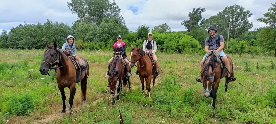 Конный клуб Horse travel123 в Геленджике: Конная езда, Обучение, Красивый вид, эквестрианство , Верховая езда,