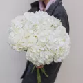 Миниатюра 9