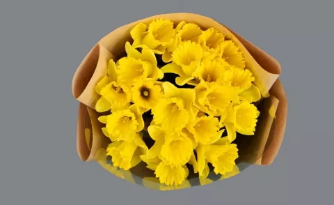 Фото 8