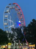 Миниатюра 5