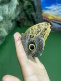 Миниатюра 3