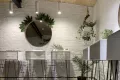 Миниатюра 8