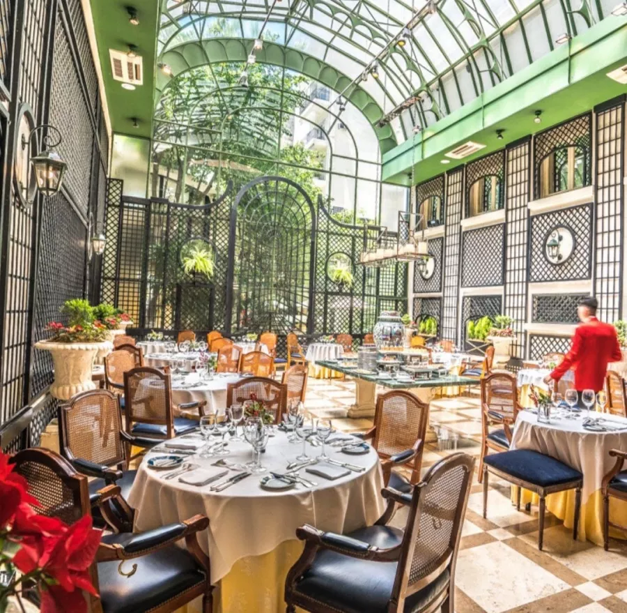 Отель Alvear Palace в Буэнос-Айрес (Аргентина): Отель 🏨 , Бассейн, Бар, Hotel, Swimming pool , Spa, Bar,
