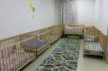 Миниатюра 7
