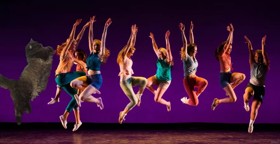 Школа танцев Modern Art в Уссурийске: Танцы, Зал, Хореография, Балет, Растяжка, Школа,