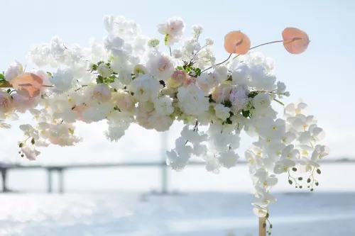 Мастерская флористики и декора Flover в Санкт-Петербурге