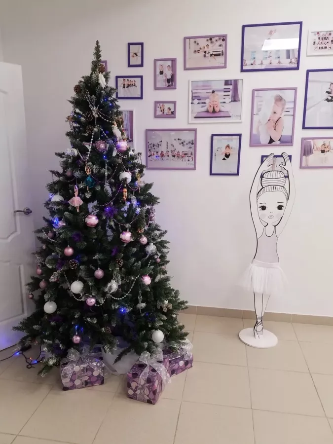 Школа балета Lil Ballerine в Казани: Танцы, Зал, Хореография, Школа танцев, Балет, Растяжка,